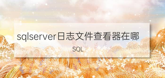 sqlserver日志文件查看器在哪 SQL Server事务日志的几个常用操作？